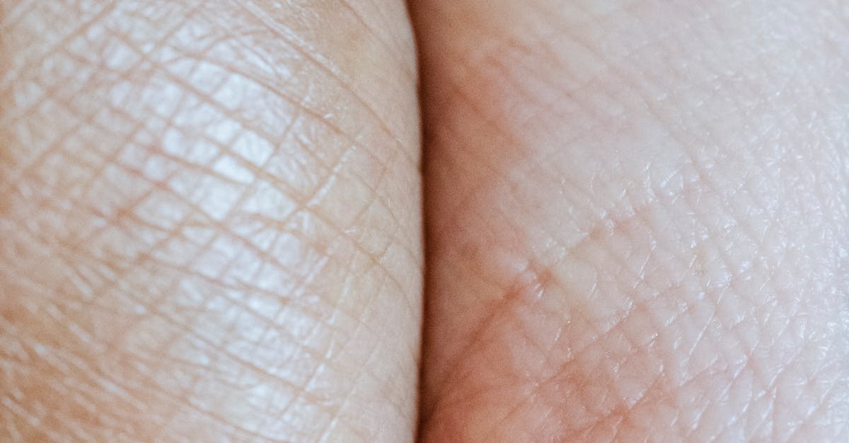 What to Know About Mineral Wool Insulation